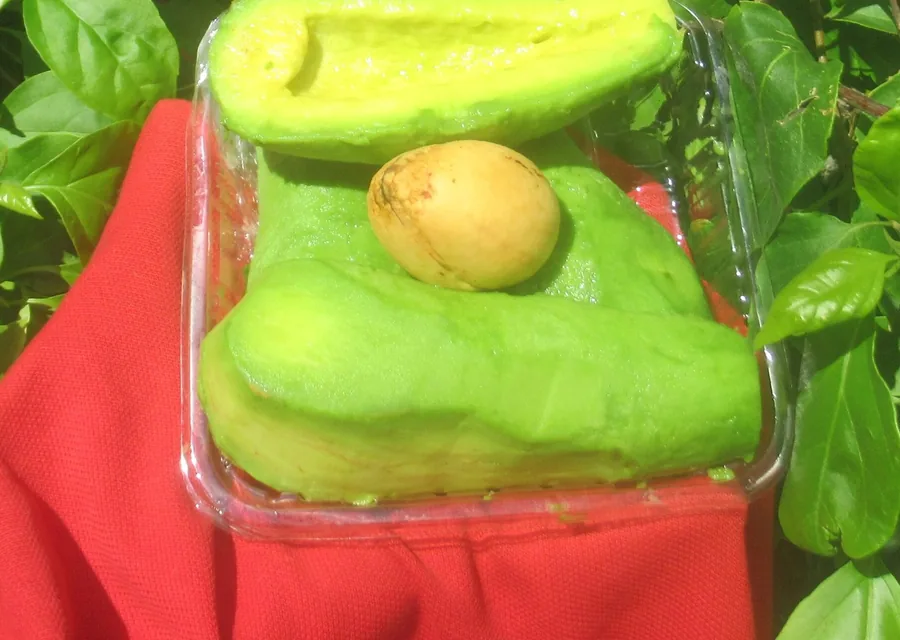Aguacate partido en un recipiente transparente